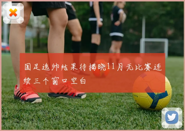 国足选帅结果待揭晓11月无比赛连续三个窗口空白
