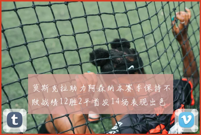 莫斯克拉助力阿森纳本赛季保持不败战绩12胜2平首发14场表现出色