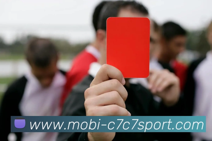 App Interface Preview